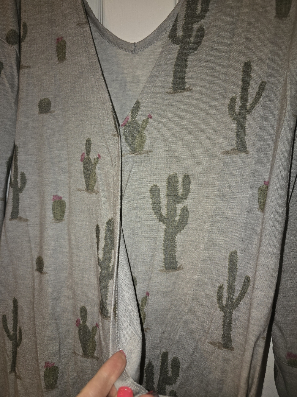 Cactus Too - Picture 4 of 6